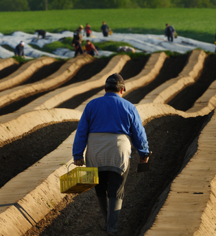 Tour de Spargel | © BTMV Bruchsal
