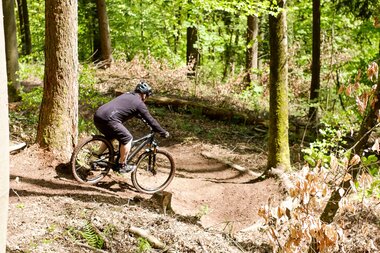 Einweihung Trails im Neuen Gemeindewald | © Hohenlohe + Schwäbisch Hall Tourismus e. V.