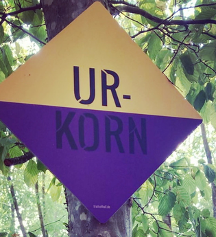 Trails of Hall - Mountainbike Trail am Einkorn - Route Urkorn | © Hohenlohe + Schwäbisch Hall Tourismus e. V.