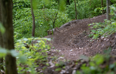 Trails of Hall_Einkornwald | © Hohenlohe + Schwäbisch Hall Tourismus e. V.