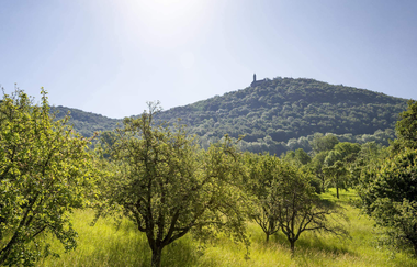 TTG - San Flamingo Tour - alle Felder | © TMBW