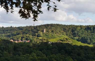 Über den Hagenrain zur Ölmühle | © Land der 1000 Hügel - Kraichgau-Stromberg
