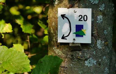 Über den Hagenrain zur Ölmühle | © Land der 1000 Hügel - Kraichgau-Stromberg