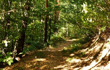 Über den Hagenrain zur Ölmühle | © Land der 1000 Hügel - Kraichgau-Stromberg