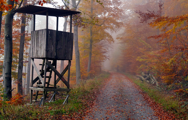 Über die Kanzelbuche von Diefenbach nach Sternenfels | © Land der 1000 Hügel - Kraichgau-Stromberg