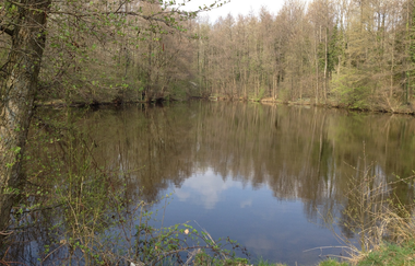 Über die Kanzelbuche von Diefenbach nach Sternenfels | © Land der 1000 Hügel - Kraichgau-Stromberg