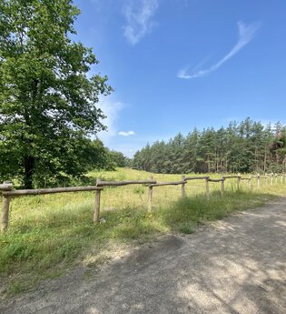 Um den Hockenheimring und zurück