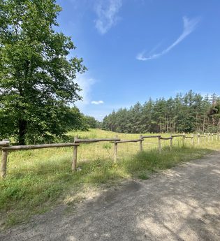 Um den Hockenheimring und zurück
