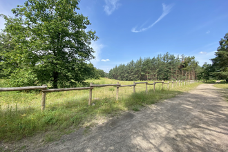 Um den Hockenheimring und zurück