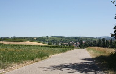 UW1 - Hohlen- und Höhenrundweg | © Land der 1000 Hügel - Kraichgau-Stromberg