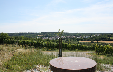 UW1 - Hohlen- und Höhenrundweg | © Land der 1000 Hügel - Kraichgau-Stromberg