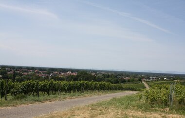 UW1 - Hohlen- und Höhenrundweg | © Land der 1000 Hügel - Kraichgau-Stromberg