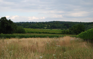 UW2 - Auf den Spuren der Römer | © Land der 1000 Hügel - Kraichgau-Stromberg