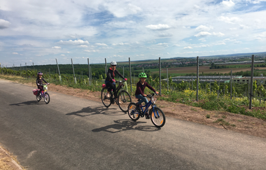 VAI-Tour-Nord | © Land der 1000 Hügel - Kraichgau-Stromberg