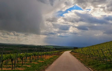 VAI-Tour-Nord | © Land der 1000 Hügel - Kraichgau-Stromberg