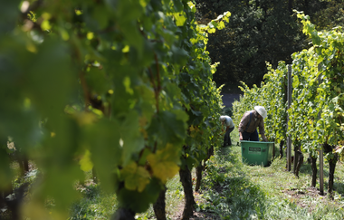 Vaihinger Rundweg | © Land der 1000 Hügel - Kraichgau-Stromberg