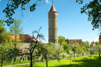 Dinkelsbühl_Radeln um die Altstadt | © Hohenlohe + Schwäbisch Hall Tourismus e. V.