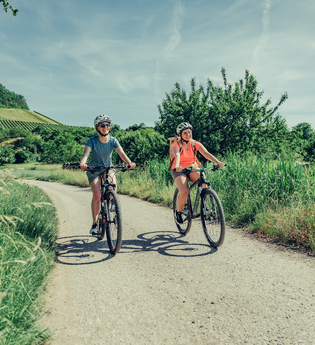 Radfahren auf dem Württemberger Weinradweg | HeilbronnerLand | © Touristikgemeinschaft HeilbronnerLand