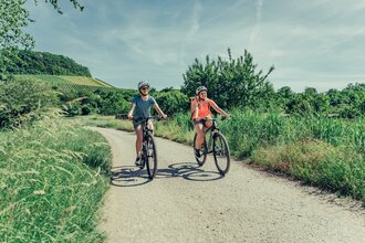 Radfahren auf dem Württemberger Weinradweg | HeilbronnerLand | © Touristikgemeinschaft HeilbronnerLand