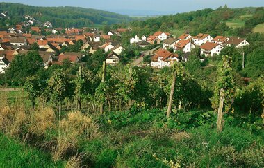 Via Sancti Martini Streckenabschnitt Kraichtal | © Land der 1000 Hügel - Kraichgau-Stromberg