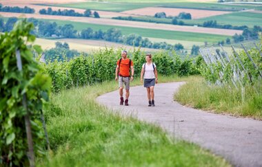 Wanderer im Weinberg | © Touristikgemeinschaft Hohenlohe e. V.