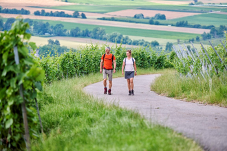 Wanderer im Weinberg | © Touristikgemeinschaft Hohenlohe e. V. | Florian Trykowski