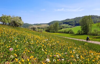 Frühlingswandern im Steinbacher Tal, Pfedelbach | © Touristikgemeinschaft Hohenlohe e. V.