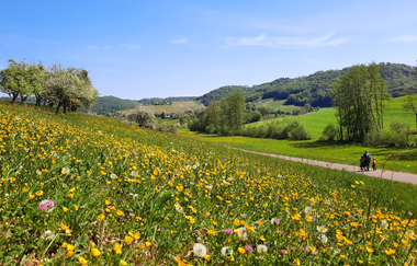 Frühlingswandern im Steinbacher Tal, Pfedelbach | © Touristikgemeinschaft Hohenlohe e. V. |  Stephanie Rüdele