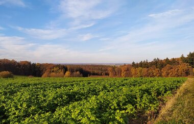 Vier-Kapellen-Weg | © Unbekannt