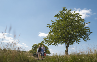 Von Bad Mergentheim über Löffelstelzen nach Edelfingen und zurück | © philippreinhard.com