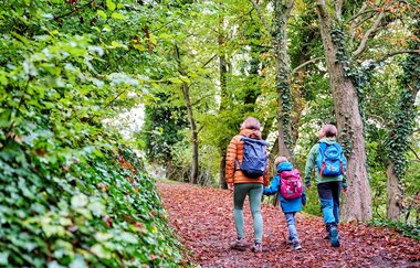 Familie wandert im Wald | © Touristikgemeinschaft Hohenlohe e. V.