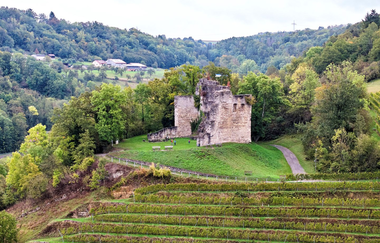 Burgruine Lichteneck oberhalb von Ingelfingen | © Touristikgemeinschaft Hohenlohe e. V.