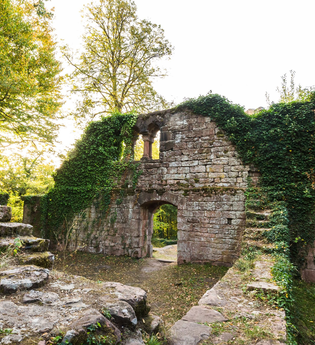 Von Eberbach nach Zwingenberg | © Stadt Eberbach / Andreas Held