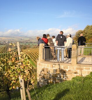 Von Kürnbach zum Derdinger Horn Oberderdingen #Schwarzrieslingdorf | © Kraichgau-Stromberg Tourismus e.V.