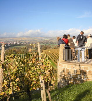 Von Kürnbach zum Derdinger Horn Oberderdingen #Schwarzrieslingdorf | © Kraichgau-Stromberg Tourismus e.V.
