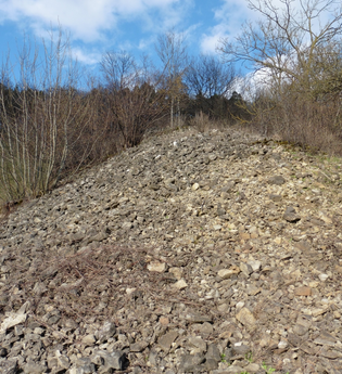 Von Lohkoppen und Steinriegeln | © Unknown