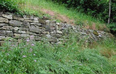 Von Lohkoppen und Steinriegeln | © Unknown