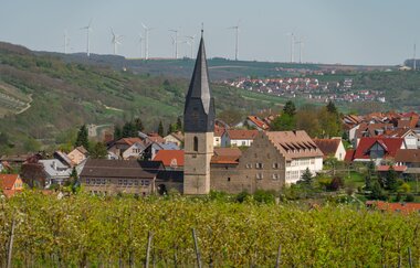 Von Markelsheim nach Bad Mergentheim und zurück | © Thorsten Günthert