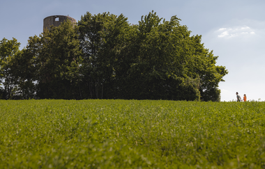 Von Markelsheim nach Bad Mergentheim und zurück | © philippreinhard.com