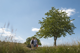 Zwei Personen gehen auf einem grasbewachsenen Pfad an einem Feld. Eine Person trägt eine Jacke, die andere ein kariertes Hemd. | © Stadt Bad Mergentheim