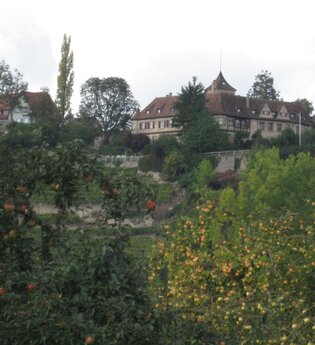 Von Talheim nach Marbach und zurück | © Touristikgemeinschaft HeilbronnerLand e.V.
