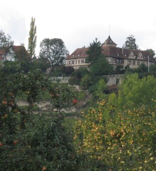 Von Talheim nach Marbach und zurück | © Touristikgemeinschaft HeilbronnerLand e.V.