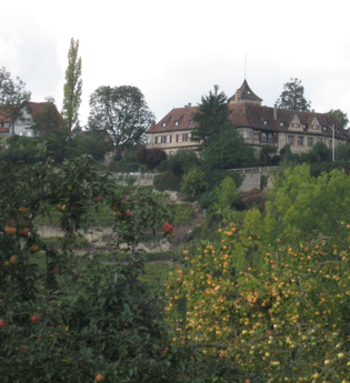 Von Talheim nach Marbach und zurück | © Touristikgemeinschaft HeilbronnerLand e.V.