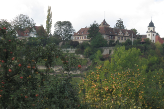 Von Talheim nach Marbach und zurück | © Touristikgemeinschaft HeilbronnerLand e.V.