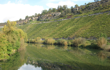Von Talheim nach Marbach und zurück | © Touristikgemeinschaft HeilbronnerLand e.V.