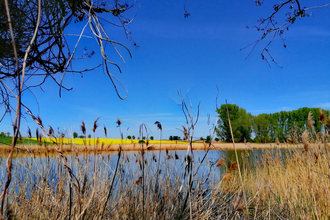 W 11: Frankenhöhe - Lindleinsee - Steinbachtal | © Rothenburg Tourismus Service