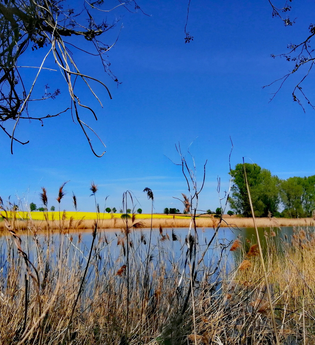 W10: Lindleinsee | © Rothenburg Tourismus Service