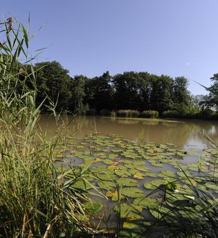Wachtkopf-Rundweg | © Land der 1000 Hügel - Kraichgau-Stromberg
