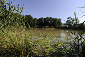 Wachtkopf-Rundweg | © Land der 1000 Hügel - Kraichgau-Stromberg