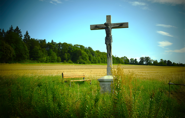 Wald-Wasser-Weg | Neudenau | HeilbronnerLand | © Stadtverwaltung Neudenau